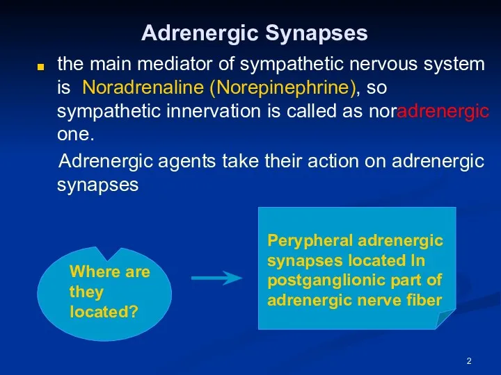 Adrenergic Synapses the main mediator of sympathetic nervous system is Nоradrenaline (Norepinephrine), so