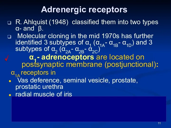 Adrenergic receptors R. Ahlquist (1948) classified them into two types α- and β.