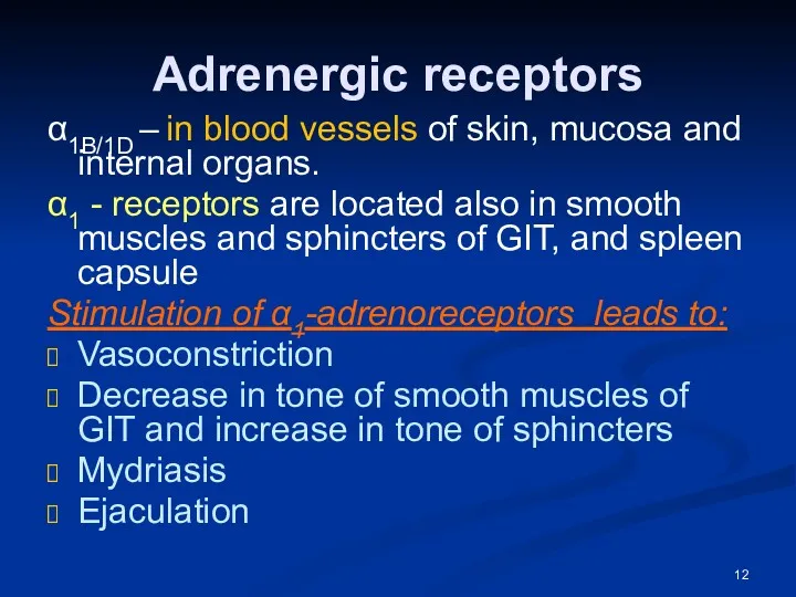 Adrenergic receptors α1B/1D – in blood vessels of skin, mucosa and internal organs.