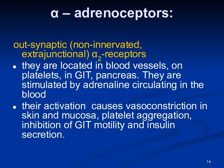 α – adrenoceptors: out-synaptic (non-innervated, extrajunctional) α2-receptors they are located