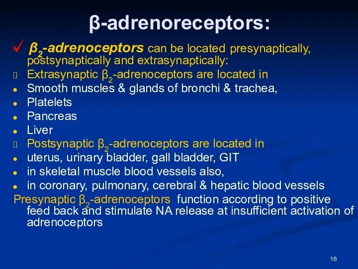 β-adrenoreceptors: β2-adrenoceptors can be located presynaptically, postsynaptically and extrasynaptically: Extrasynaptic β2-adrenoceptors are located