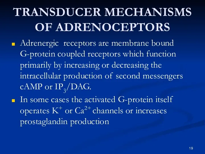 TRANSDUCER MECHANISMS OF ADRENOCEPTORS Adrenergic receptors are membrane bound G-protein coupled receptors which