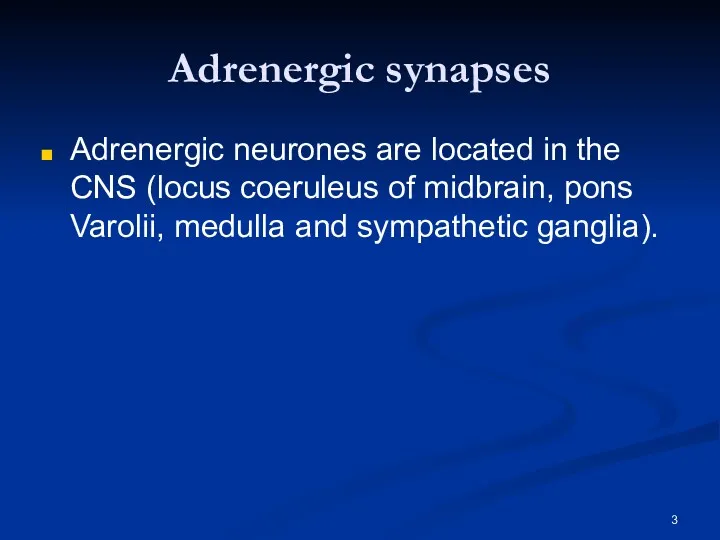Adrenergic synapses Adrenergic neurones are located in the CNS (locus coeruleus of midbrain,