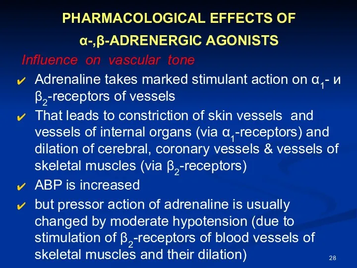 PHARMACOLOGICAL EFFECTS OF α-,β-ADRENERGIC AGONISTS Influence on vascular tone Adrenaline takes marked stimulant