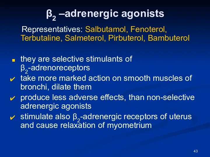 β2 –adrenergic agonists Representatives: Salbutamol, Fenoterol, Terbutaline, Salmeterol, Pirbuterol, Bambuterol