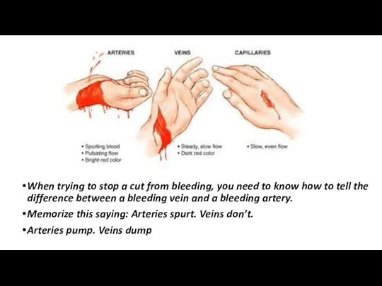 When trying to stop a cut from bleeding, you need
