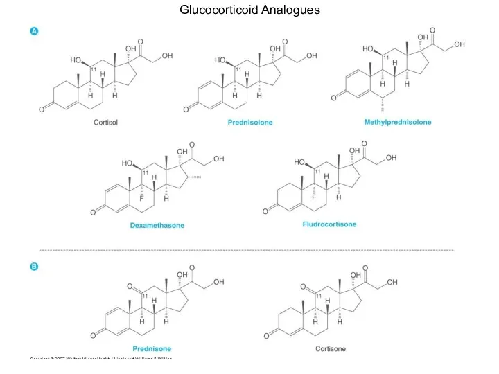 Glucocorticoid Analogues