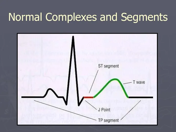 Normal Complexes and Segments