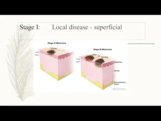 Stage I: Local disease - superficial