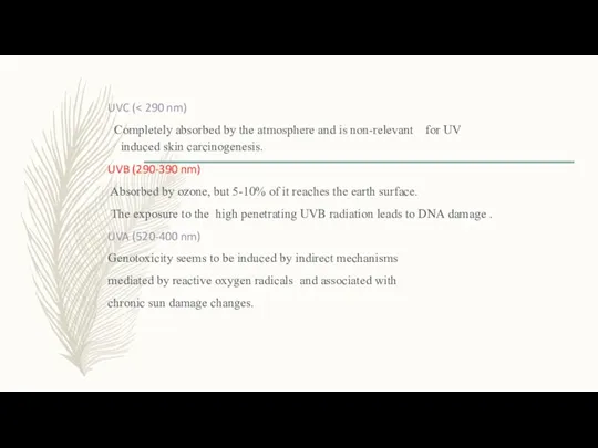 UVC ( Completely absorbed by the atmosphere and is non-relevant for UV induced