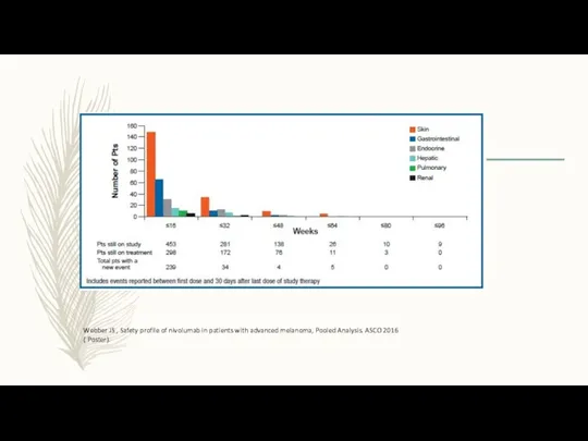 Webber JS , Safety profile of nivolumab in patients with