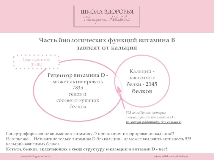 Рецептор витамина D - может активировать 7835 генов и соответствующих белков www.dietologekaterina.ru welcome@ekaterinadietolog.ru