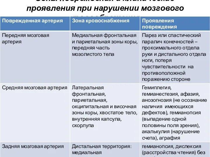 Зоны повреждения и клинические проявления при нарушении мозгового кровообращения