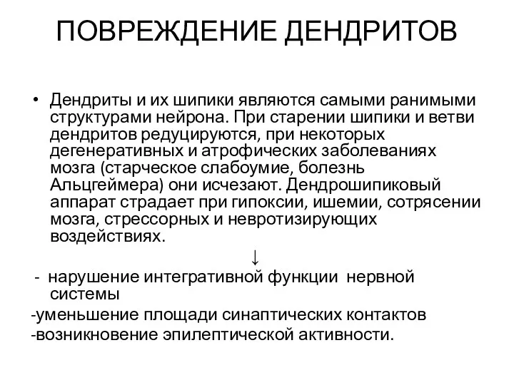 ПОВРЕЖДЕНИЕ ДЕНДРИТОВ Дендриты и их шипики являются самыми ранимыми структурами