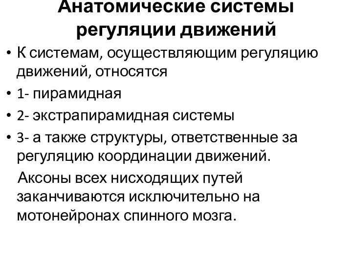 Анатомические системы регуляции движений К системам, осуществляющим регуляцию движений, относятся