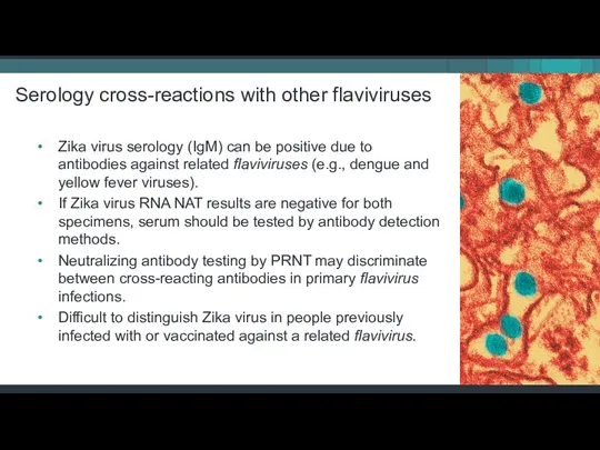 Serology cross-reactions with other flaviviruses Zika virus serology (IgM) can