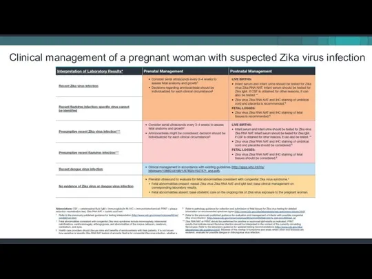 Clinical management of a pregnant woman with suspected Zika virus infection