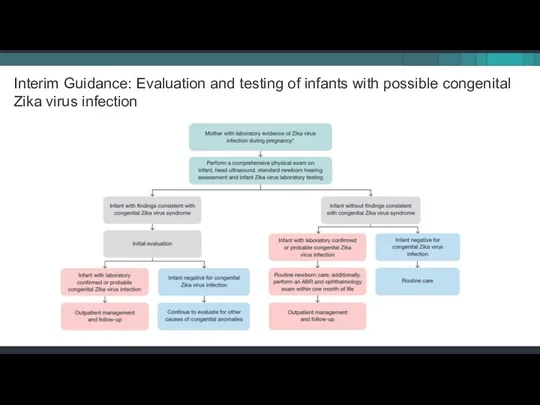 Interim Guidance: Evaluation and testing of infants with possible congenital Zika virus infection
