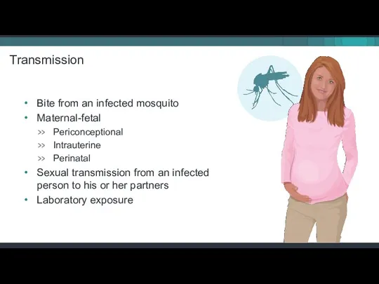 Bite from an infected mosquito Maternal-fetal Periconceptional Intrauterine Perinatal Sexual