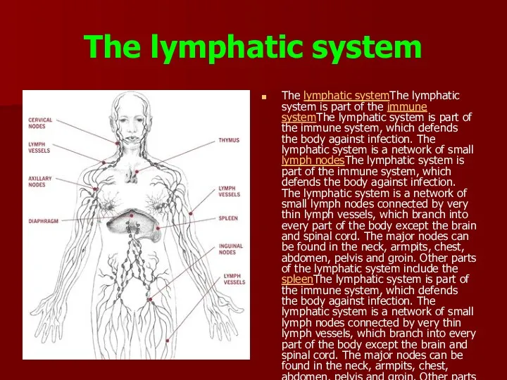 The lymphatic system The lymphatic systemThe lymphatic system is part of the immune