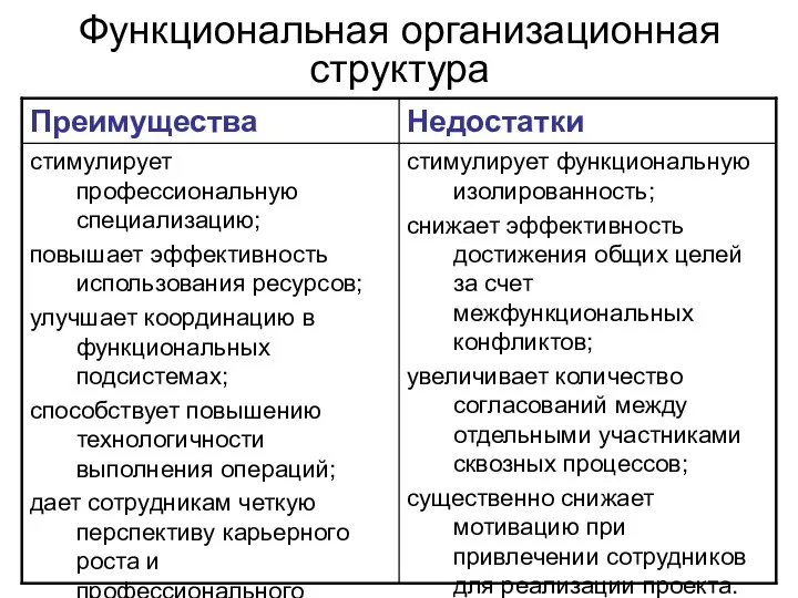 Функциональная организационная структура