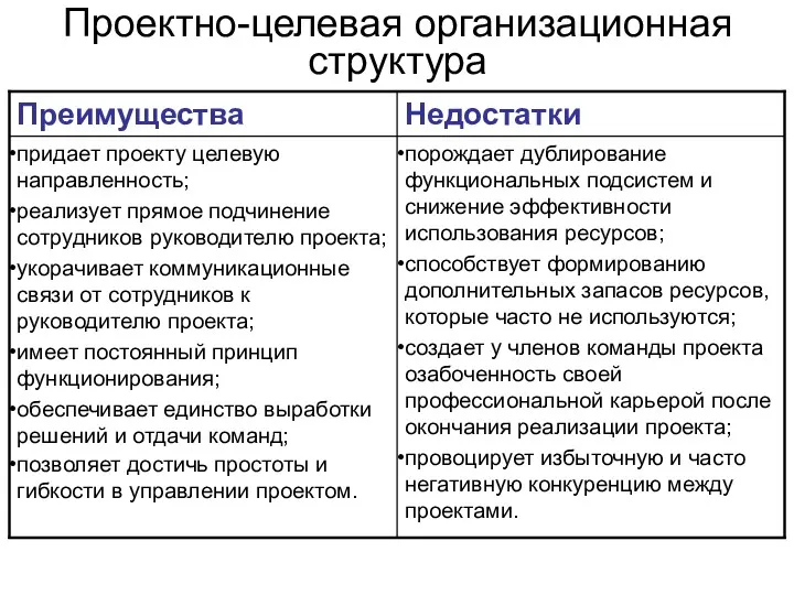 Проектно-целевая организационная структура