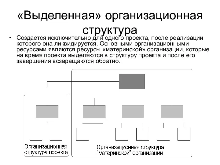 «Выделенная» организационная структура Создается исключительно для одного проекта, после реализации