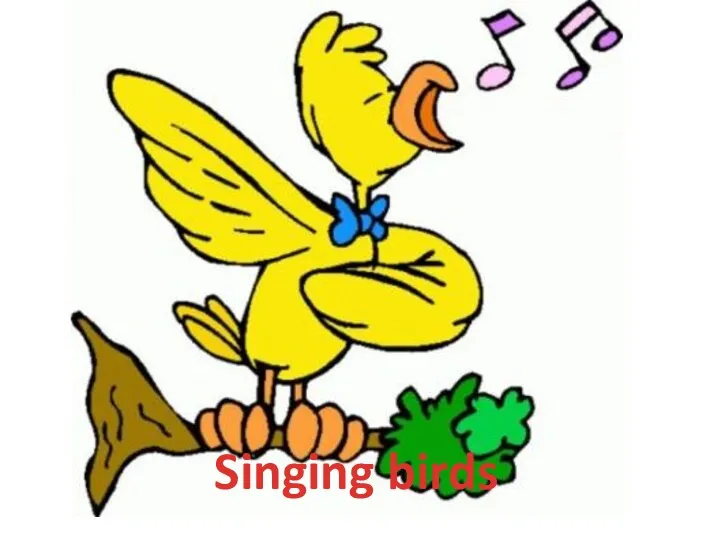 Singing birds