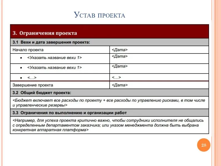 Устав проекта