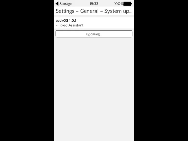 100% 19:32 Storage Downloading… Updating…