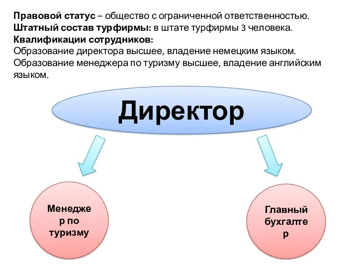 Правовой статус – общество с ограниченной ответственностью. Штатный состав турфирмы: