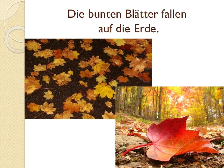 Die bunten Blätter fallen auf die Erde.