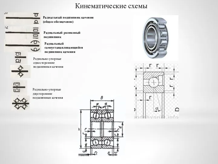 Кинематические схемы Радиальный подшипник качения (общее обозначение) Радиальный роликовый подшипник