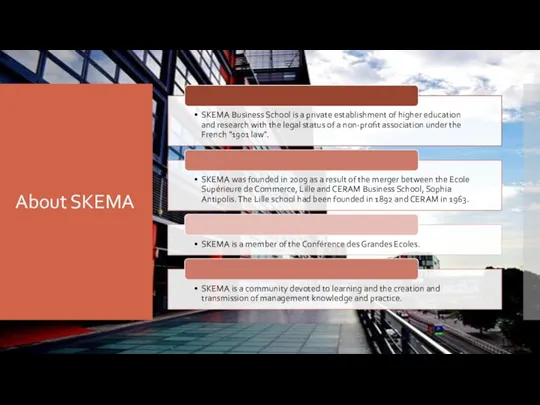 About SKEMA