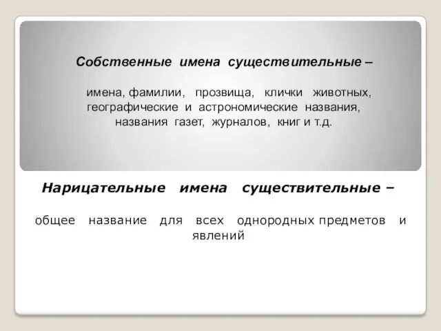 Нарицательные имена существительные – общее название для всех однородных предметов