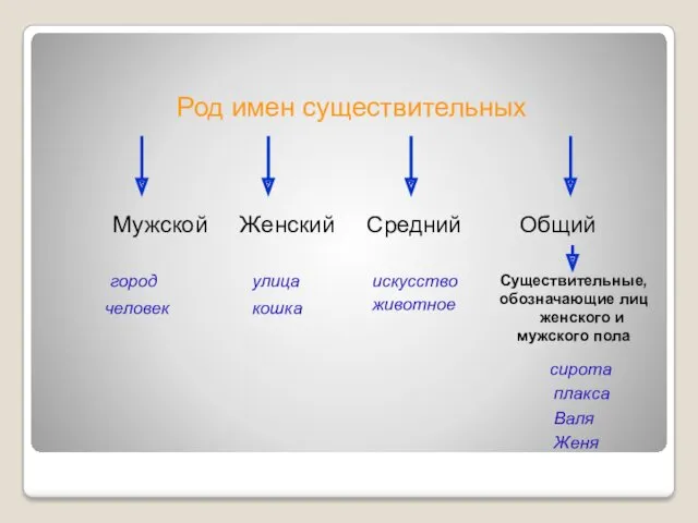 Существительные, обозначающие лиц женского и мужского пола Род имен существительных Мужской Женский Средний Общий