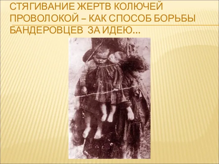 СТЯГИВАНИЕ ЖЕРТВ КОЛЮЧЕЙ ПРОВОЛОКОЙ – КАК СПОСОБ БОРЬБЫ БАНДЕРОВЦЕВ ЗА ИДЕЮ…