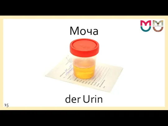 Моча der Urin 15