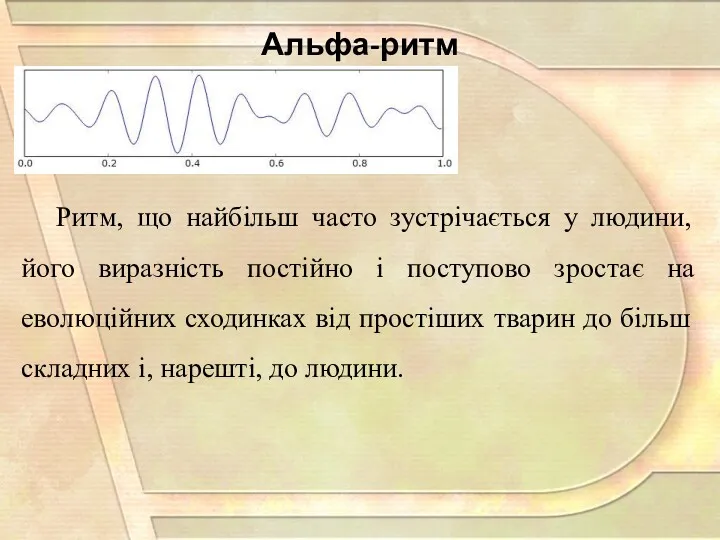 Ритм, що найбільш часто зустрічається у людини, його виразність постійно і поступово зростає