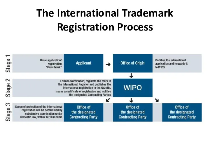 The International Trademark Registration Process