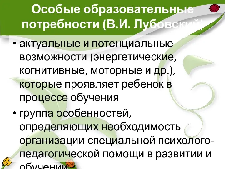 Особые образовательные потребности (В.И. Лубовский) актуальные и потенциальные возможности (энергетические,