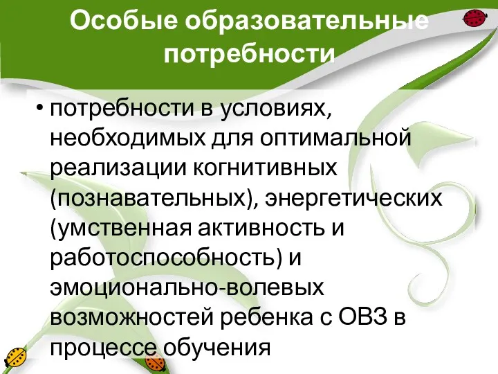 Особые образовательные потребности потребности в условиях, необходимых для оптимальной реализации