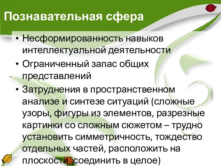 Познавательная сфера Несформированность навыков интеллектуальной деятельности Ограниченный запас общих представлений