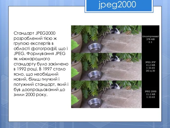 jpeg2000 Стандарт JPEG2000 розроблений тією ж групою експертів в області