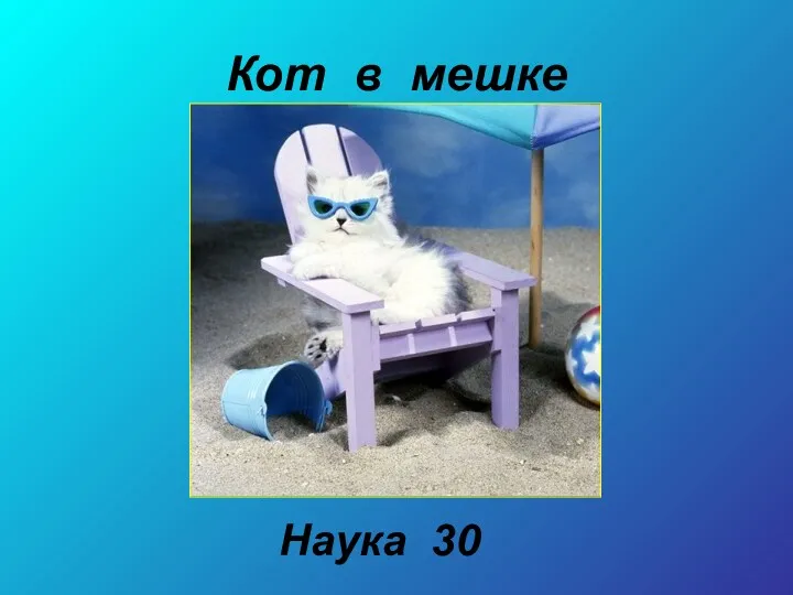 Кот в мешке Наука 30