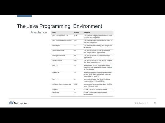 The Java Programming Environment Java Jargon