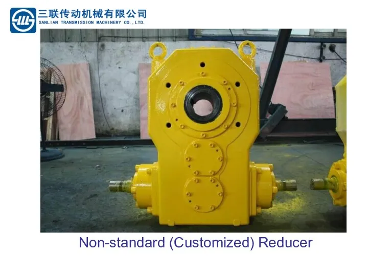 Non-standard (Customized) Reducer