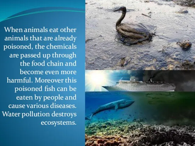 When animals eat other animals that are already poisoned, the