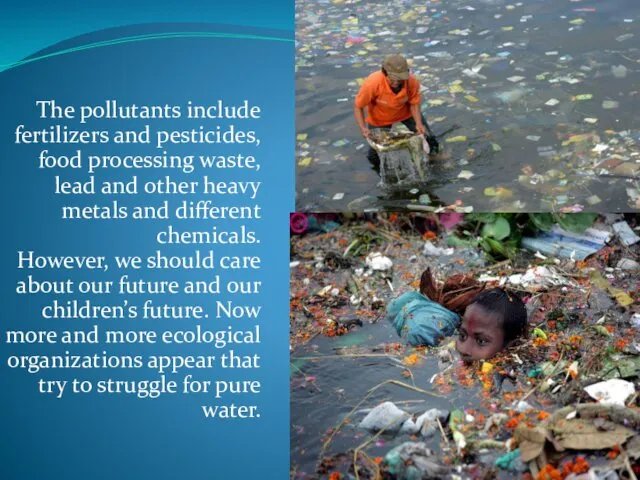 The pollutants include fertilizers and pesticides, food processing waste, lead