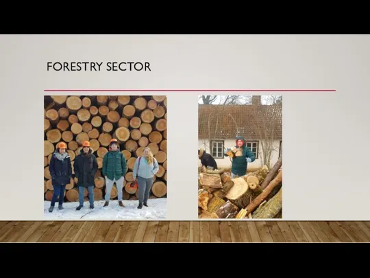 FORESTRY SECTOR